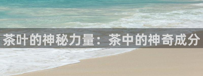 金年会官