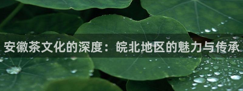 金年会手机版