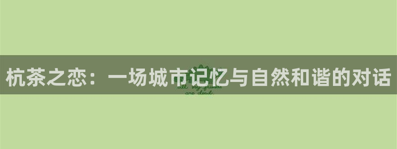 金年会菲律宾