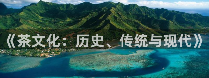 金年会电子