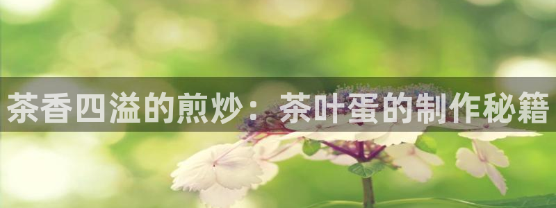 金年会金字招牌
