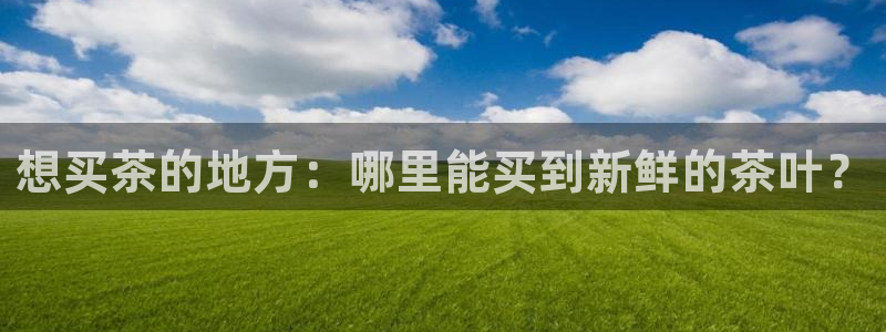 金升年会