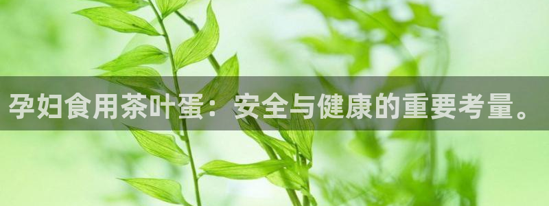 金年会平台游戏