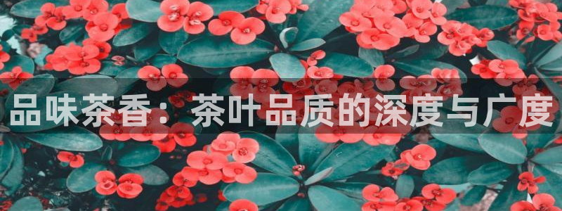 金年会体育官方
