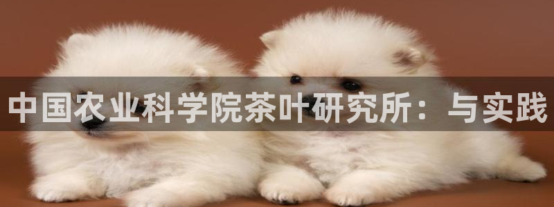 金年会jinnian