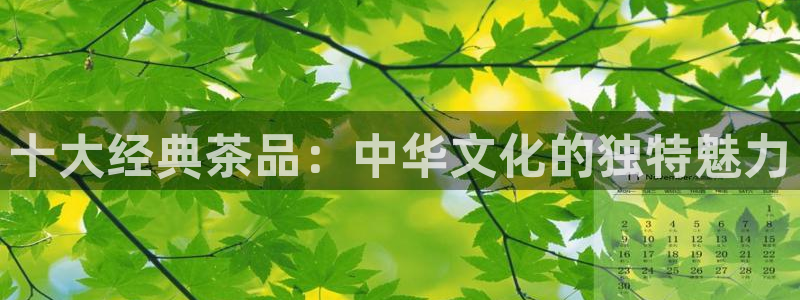金辉城年会视频