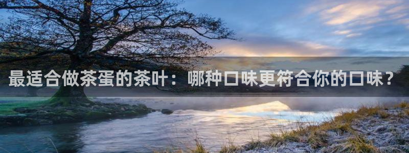 金年会是赌博的吗