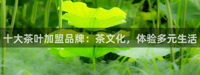 体育金年会