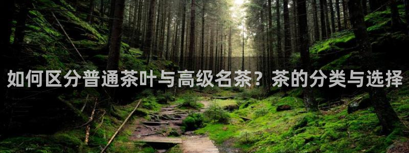 金年会娱乐app
