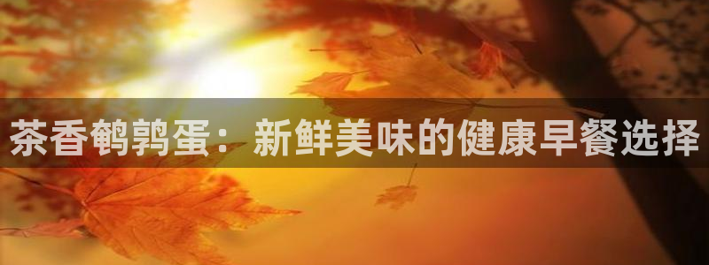 金年会官方网站下载