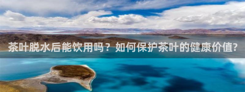 金年会娱乐提现