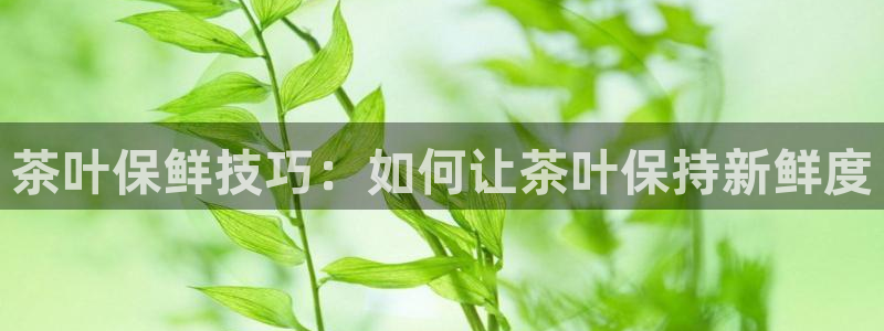 金年会是赌博的吗