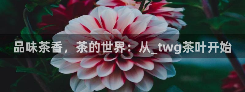 金年会金年华