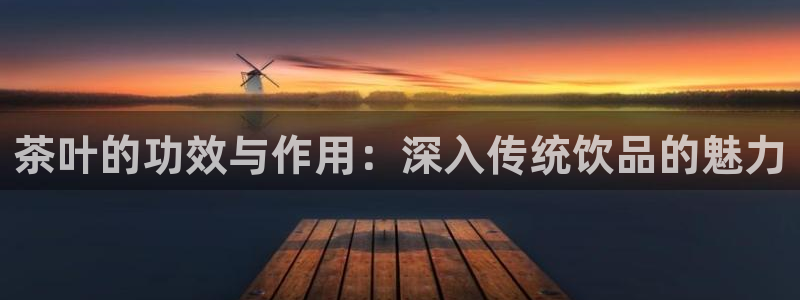 金顶年会