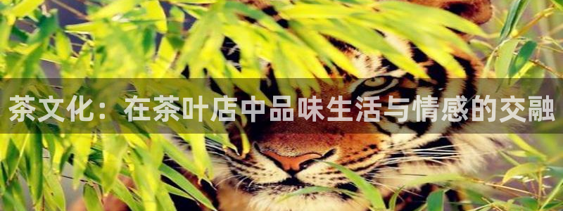 金年会手机app