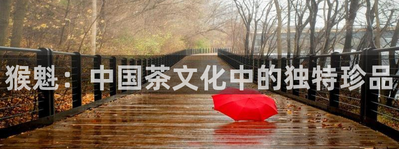 今金年会