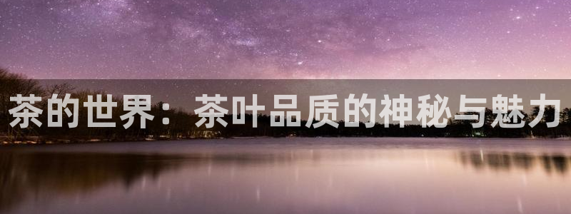 金年会官