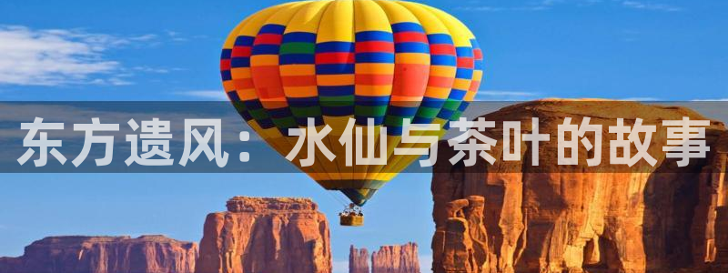 金年会体育