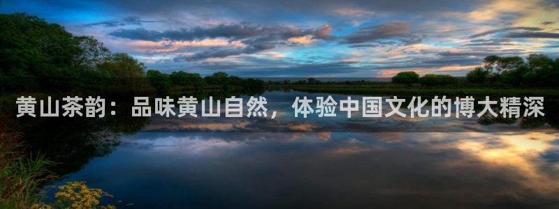 金年会下载官方