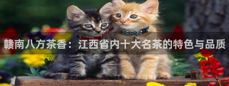 金年会现金网