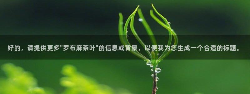 年会金