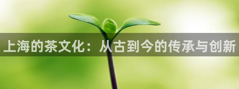 金年会官方网站