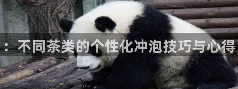 金年会体育娱乐