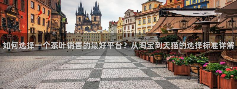 金年会入口网站