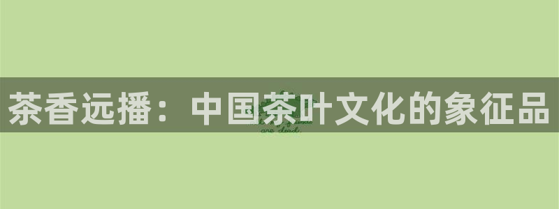 金顶年会