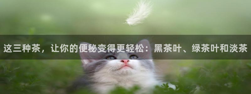 金年会体育下载