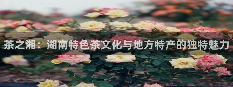 澳门娱乐金年会
