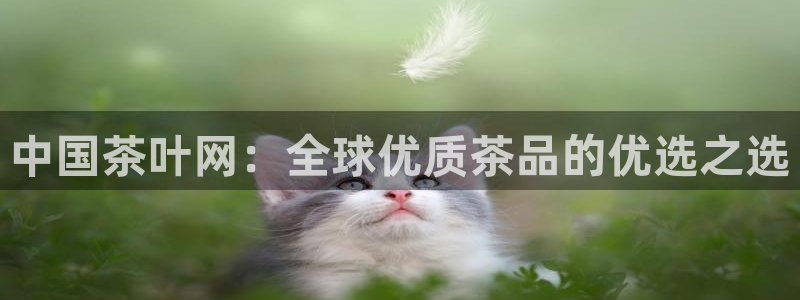 金年会活动策划