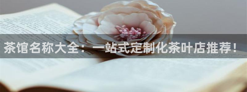 金年会官网app下载