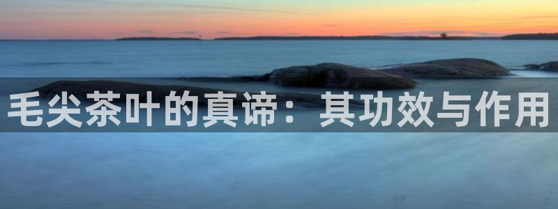 金年会体育和金年会