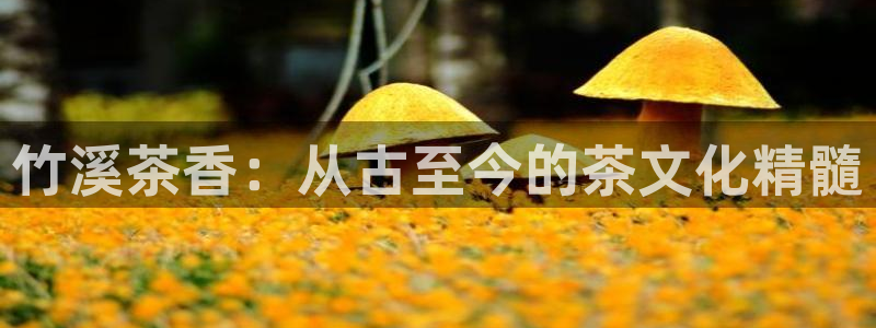 金年会体育官方下载