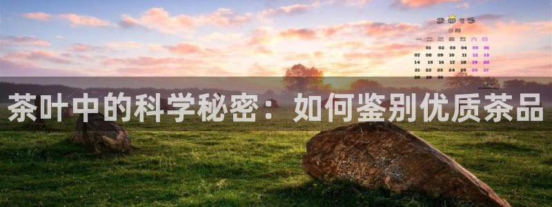 金年会官方网站下载
