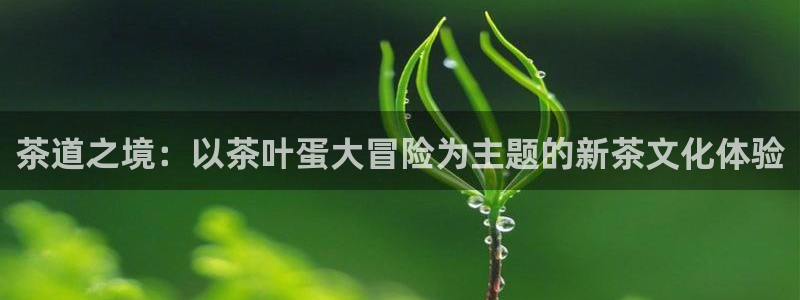 金年会官方客服电话