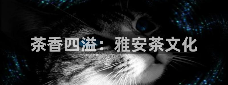 金年会登录平台入口