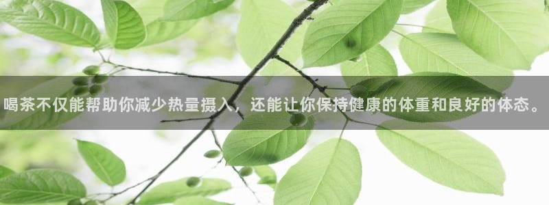金年会app