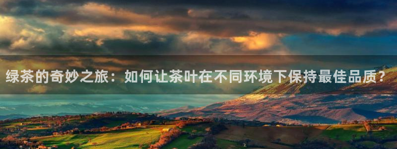 金年会赞助商