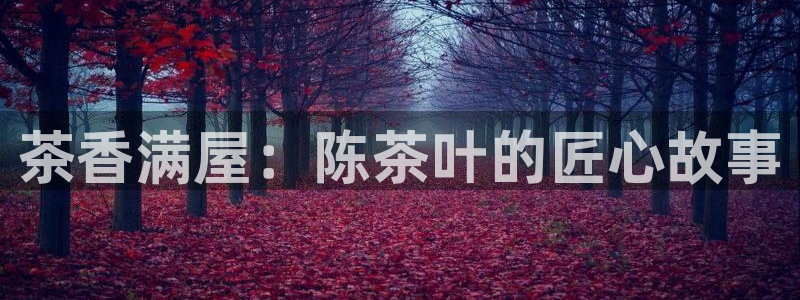 金汉江年会