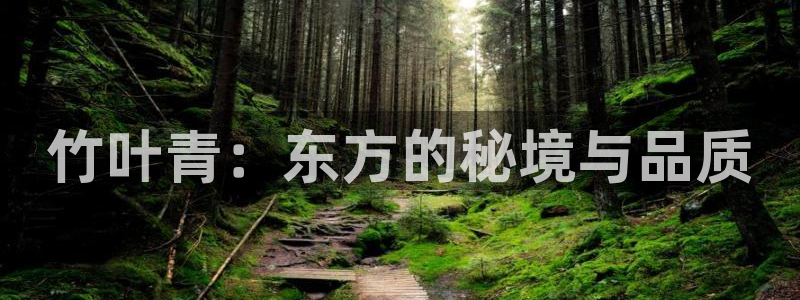 金年会 中国 金年会