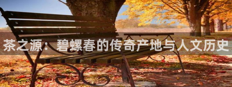 金年会网址