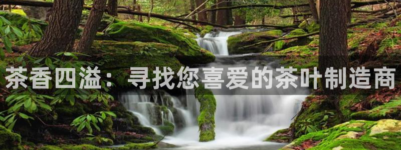 金年会这个平台