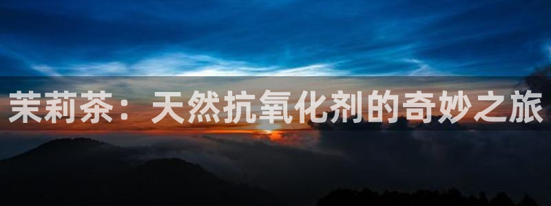金年会com