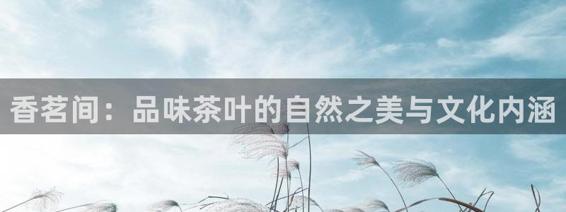 金进年会