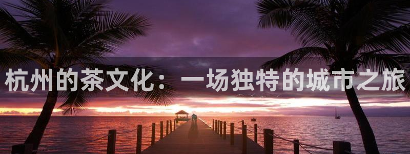 金诺利年会