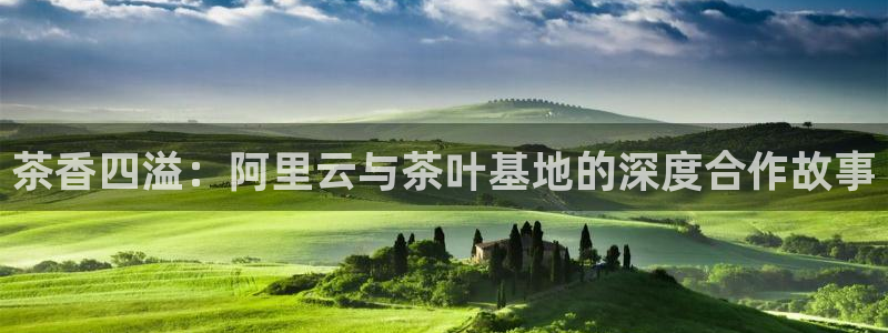 金年会体育金年会官网