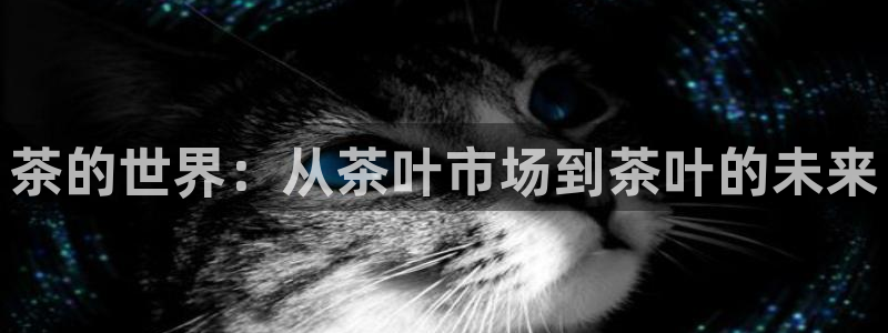 金年会APP安装下载