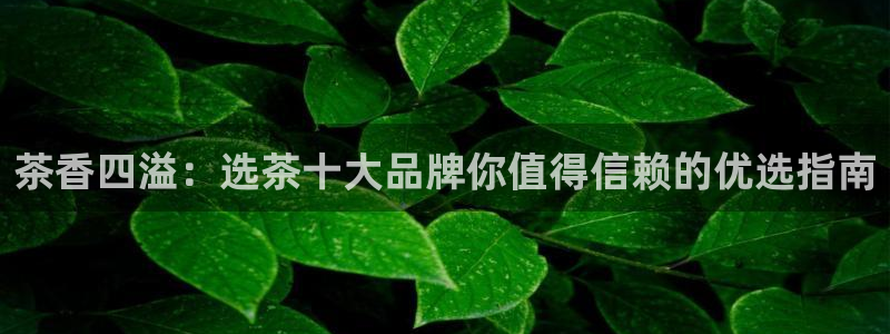 金年会今年会